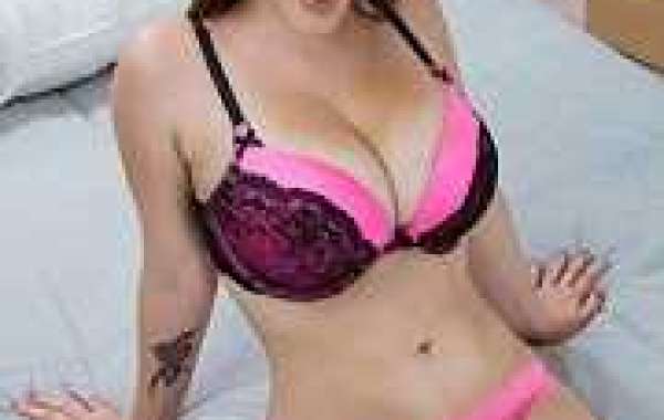 Escorts In Udaipur Provides Colorful Kinds Of Material